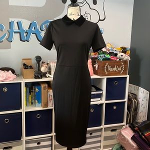 Collectif Black Velvet collar pencil dress